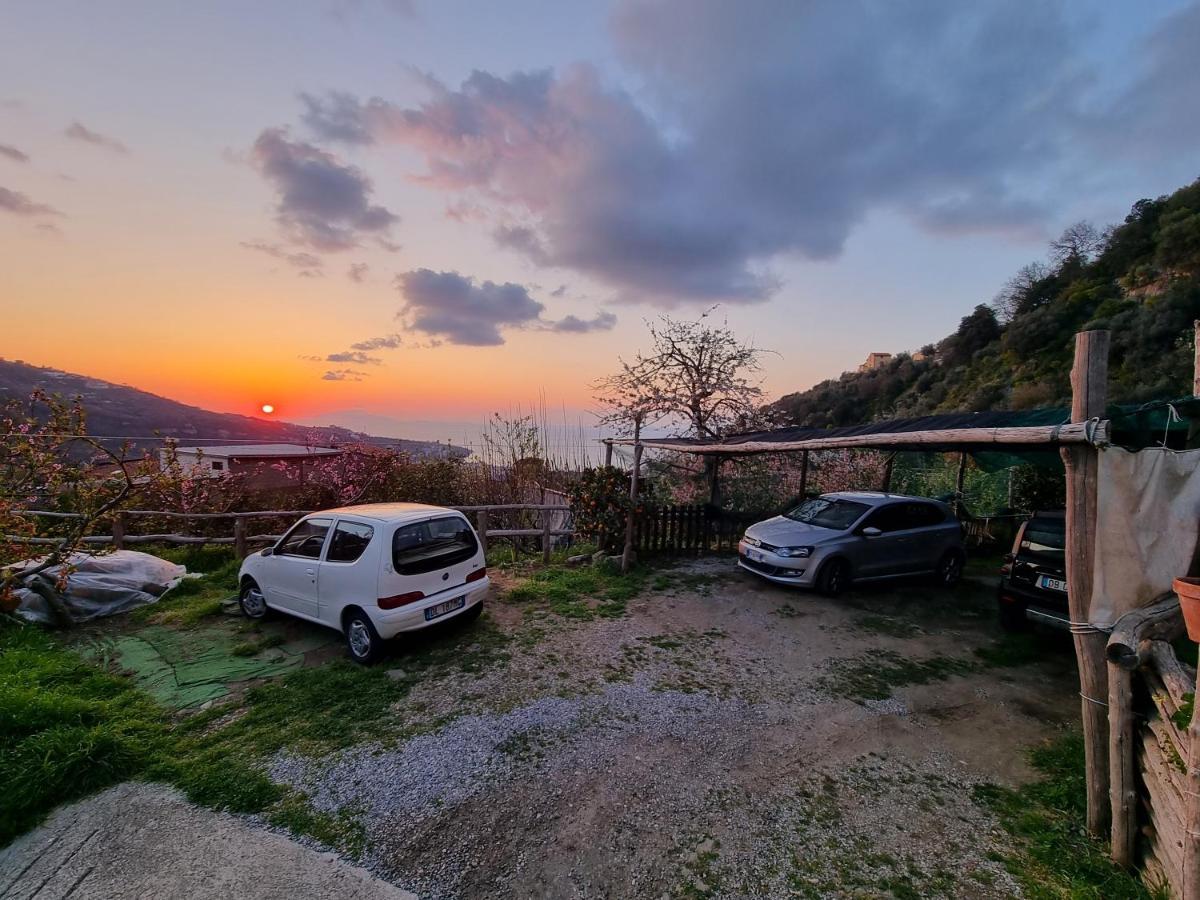 Apartamento Nanninella Hh Península Sorrentina Exterior foto